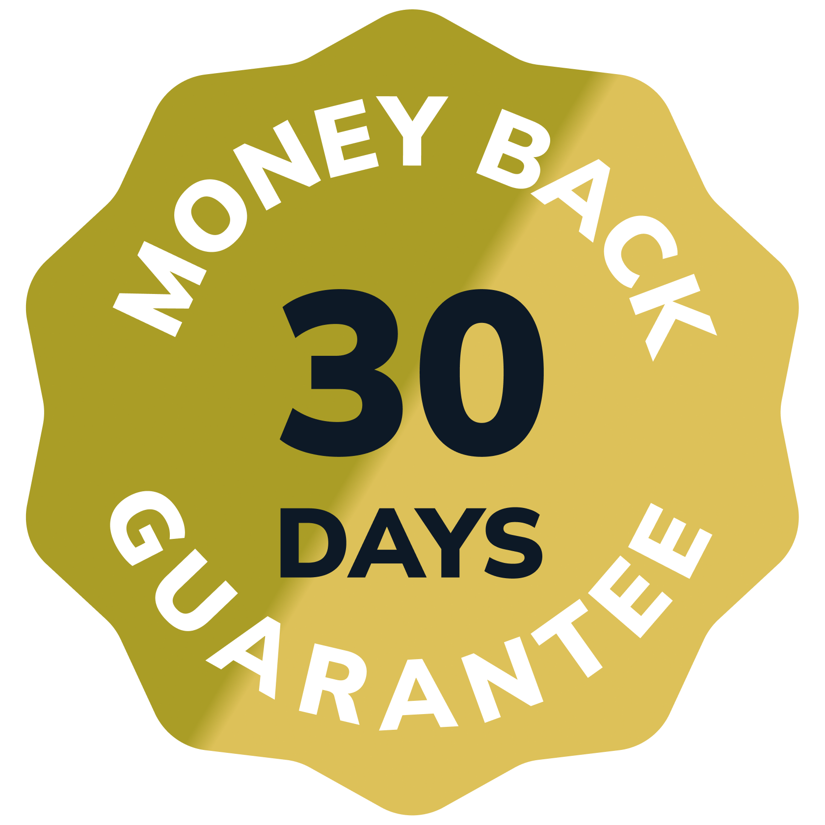 Navigating the Privacy Pitfalls of Generative AI Technologies